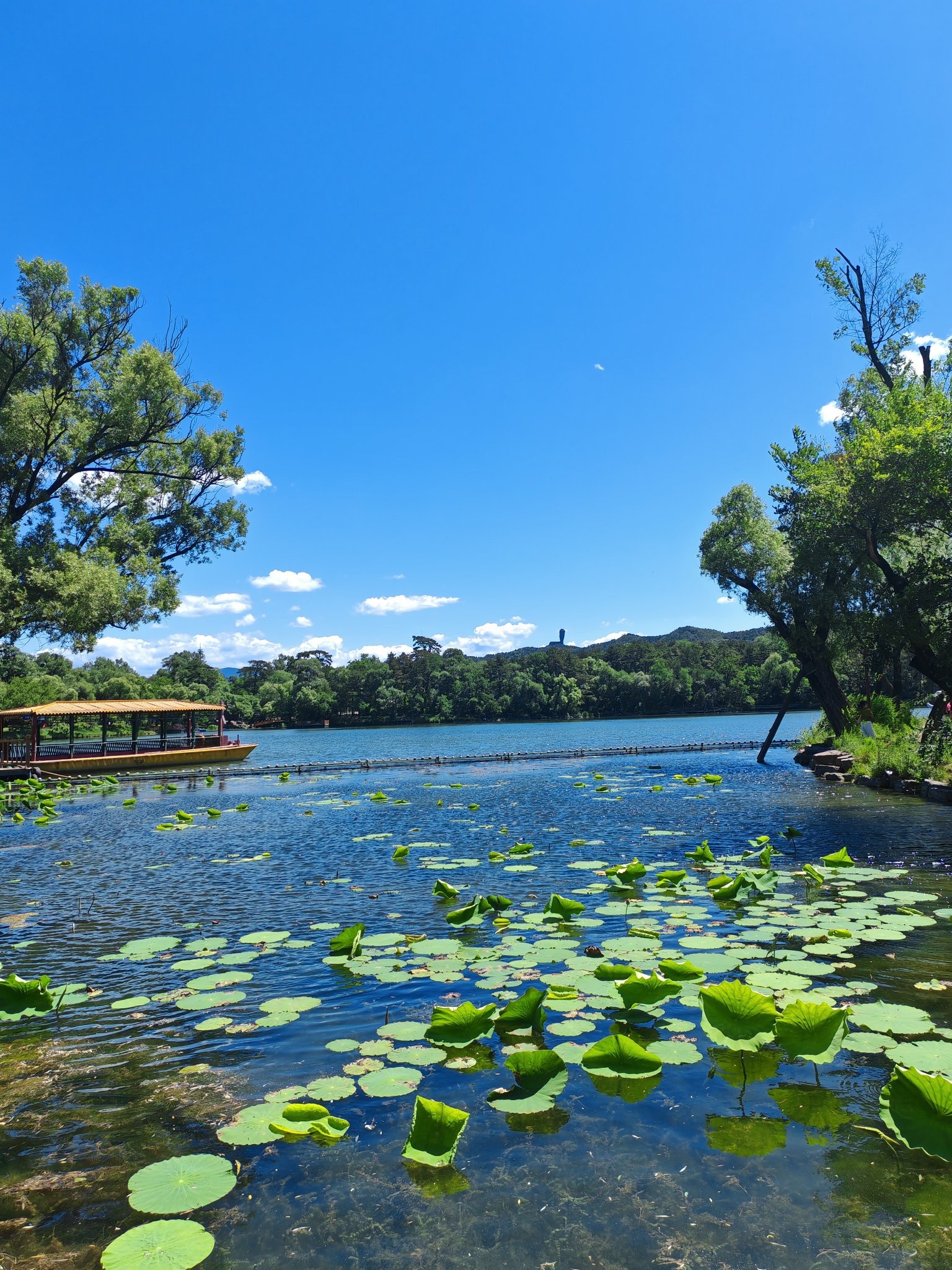 银河国际ONE口碑_银河国际汽车